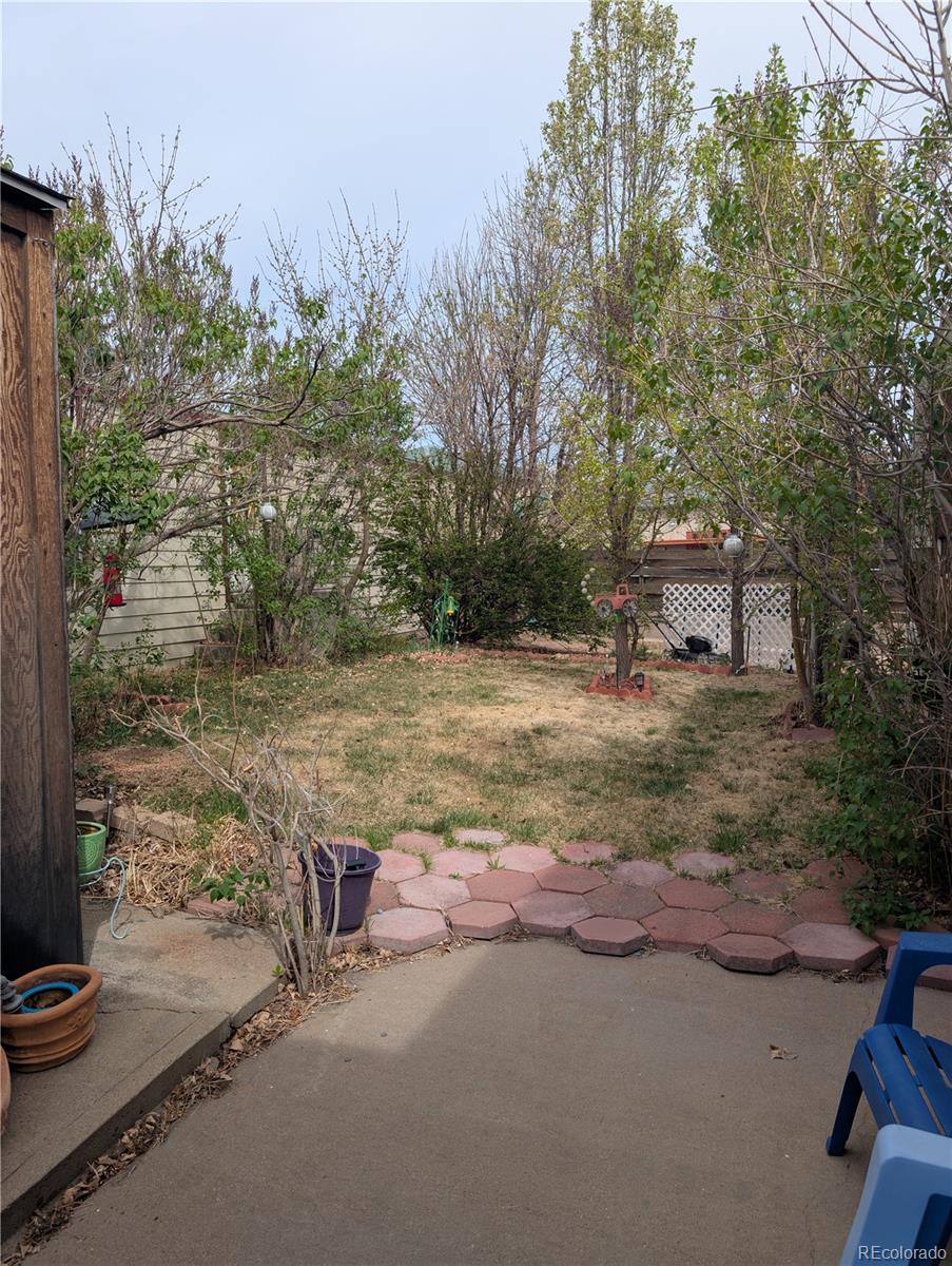 19 Danny Street Castle Rock CO 80109