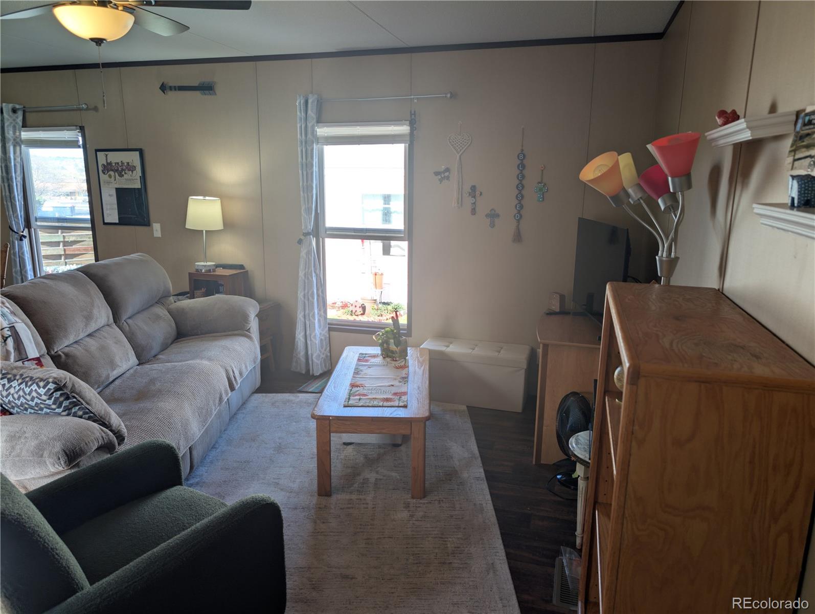 19 Danny Street Castle Rock CO 80109