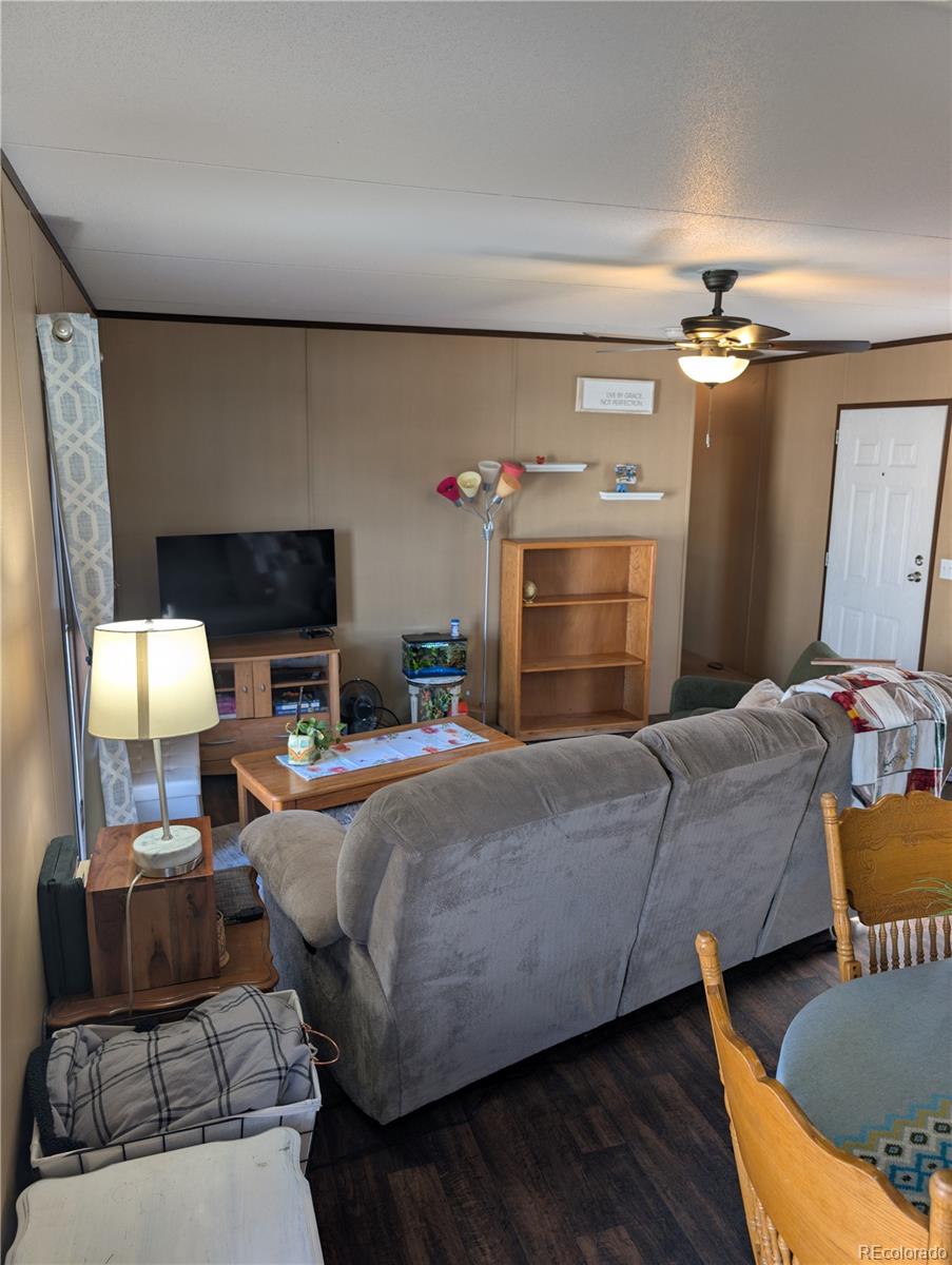 19 Danny Street Castle Rock CO 80109