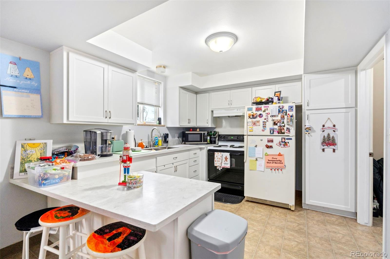 1009 Mchugh Street Fort Collins CO 80524