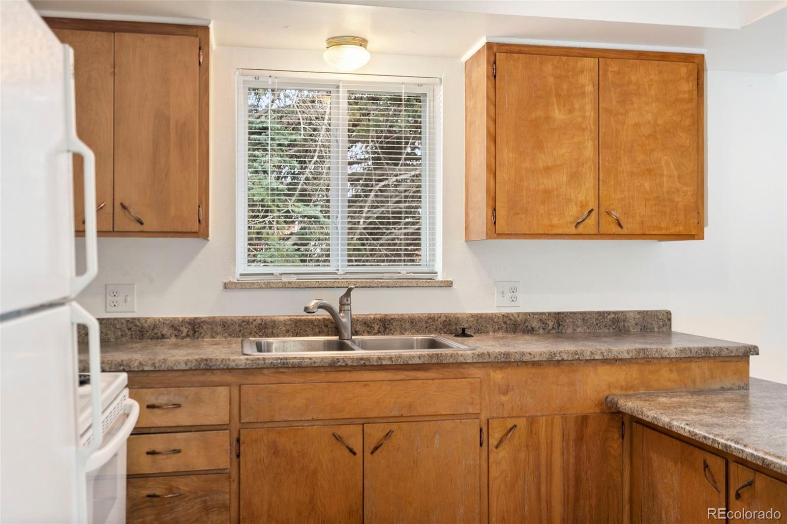 1009 Mchugh Street Fort Collins CO 80524