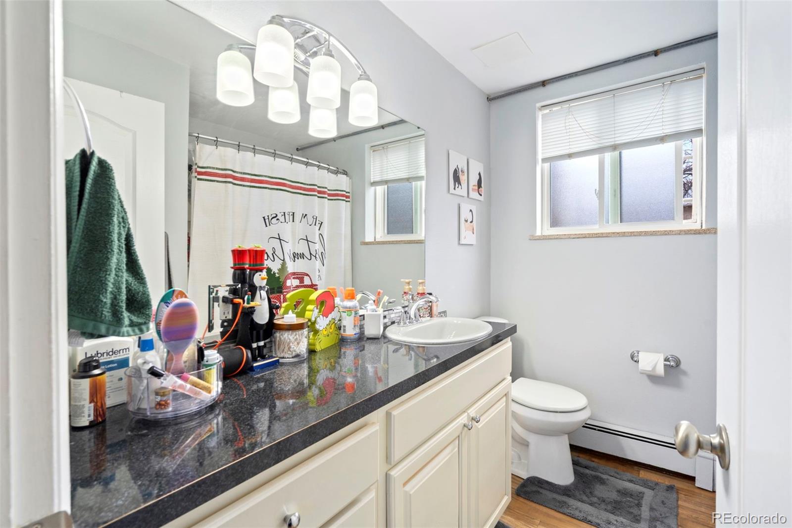 1009 Mchugh Street Fort Collins CO 80524