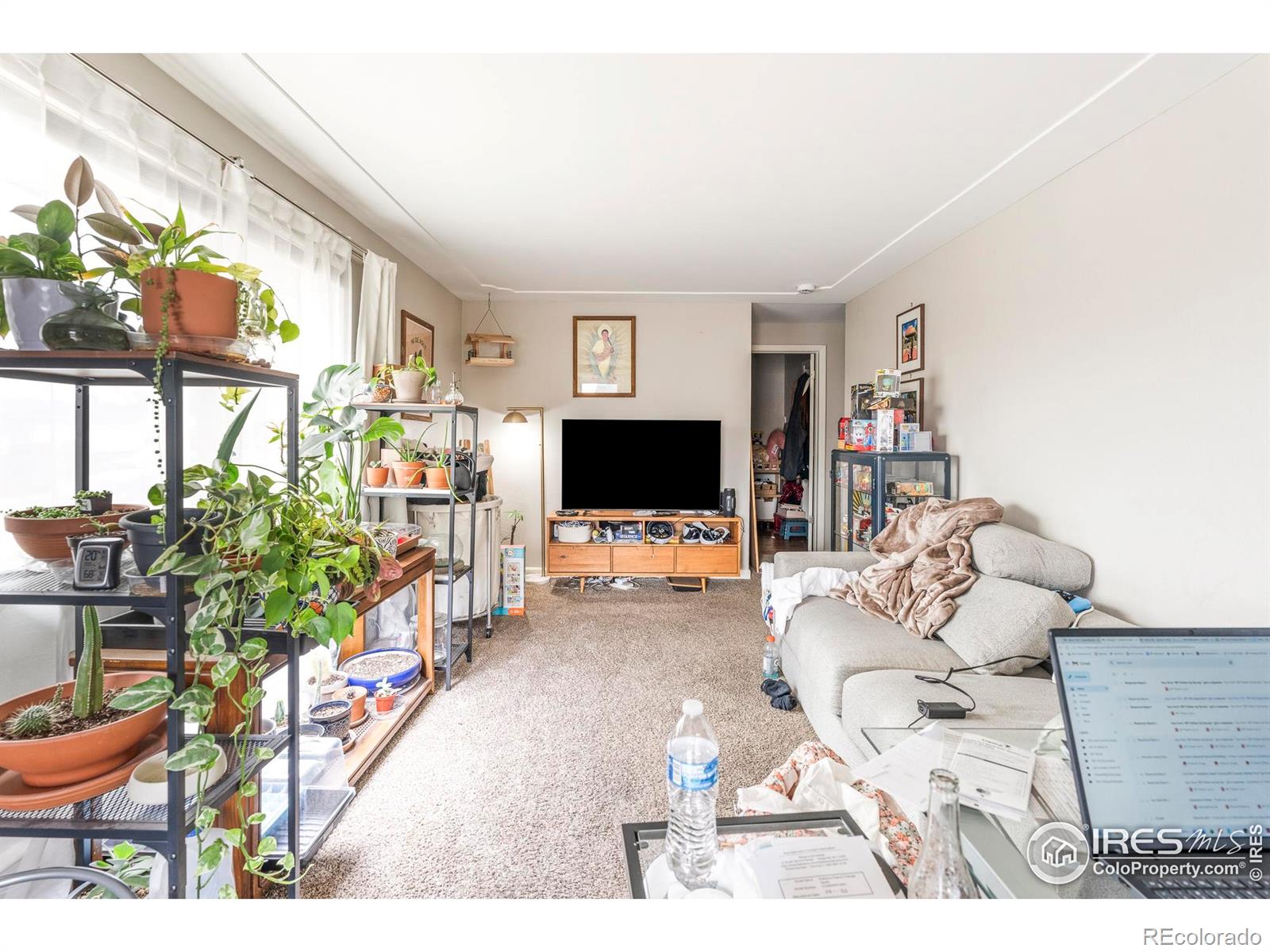 903 Wolff Street Denver CO 80204