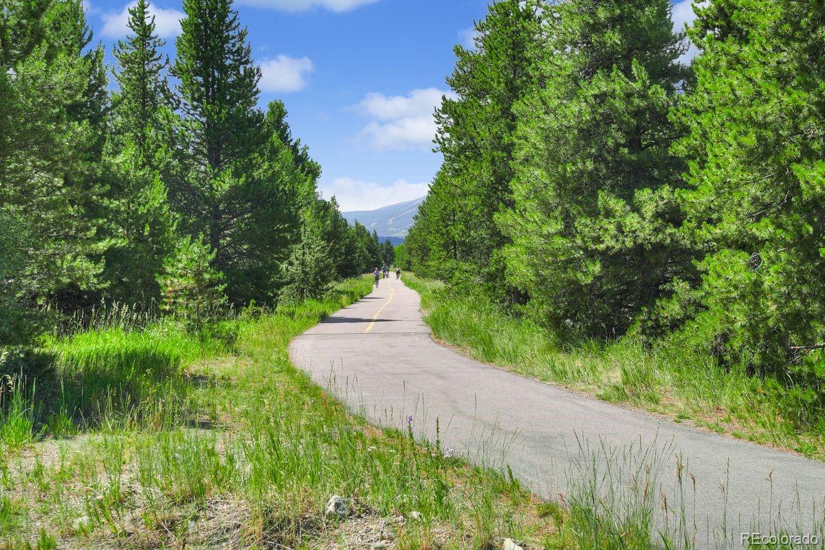 38 Linden Lane Breckenridge CO 80424