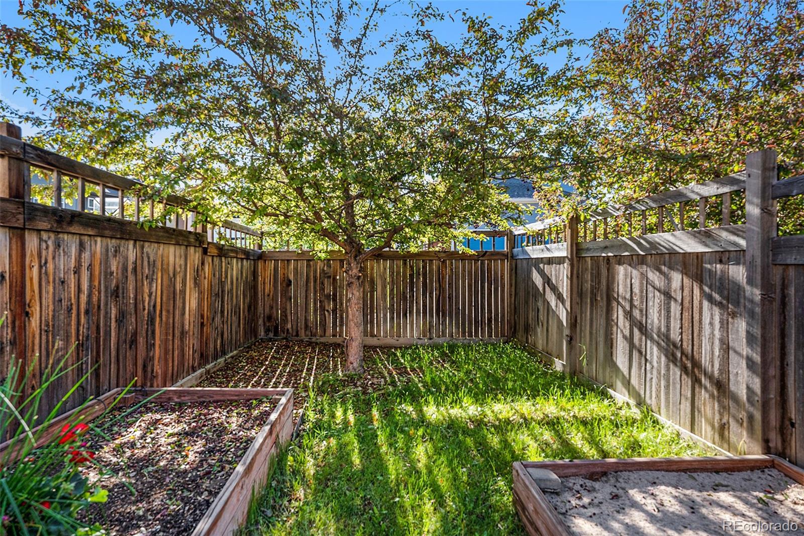 2928 Iola Street Denver CO 80238