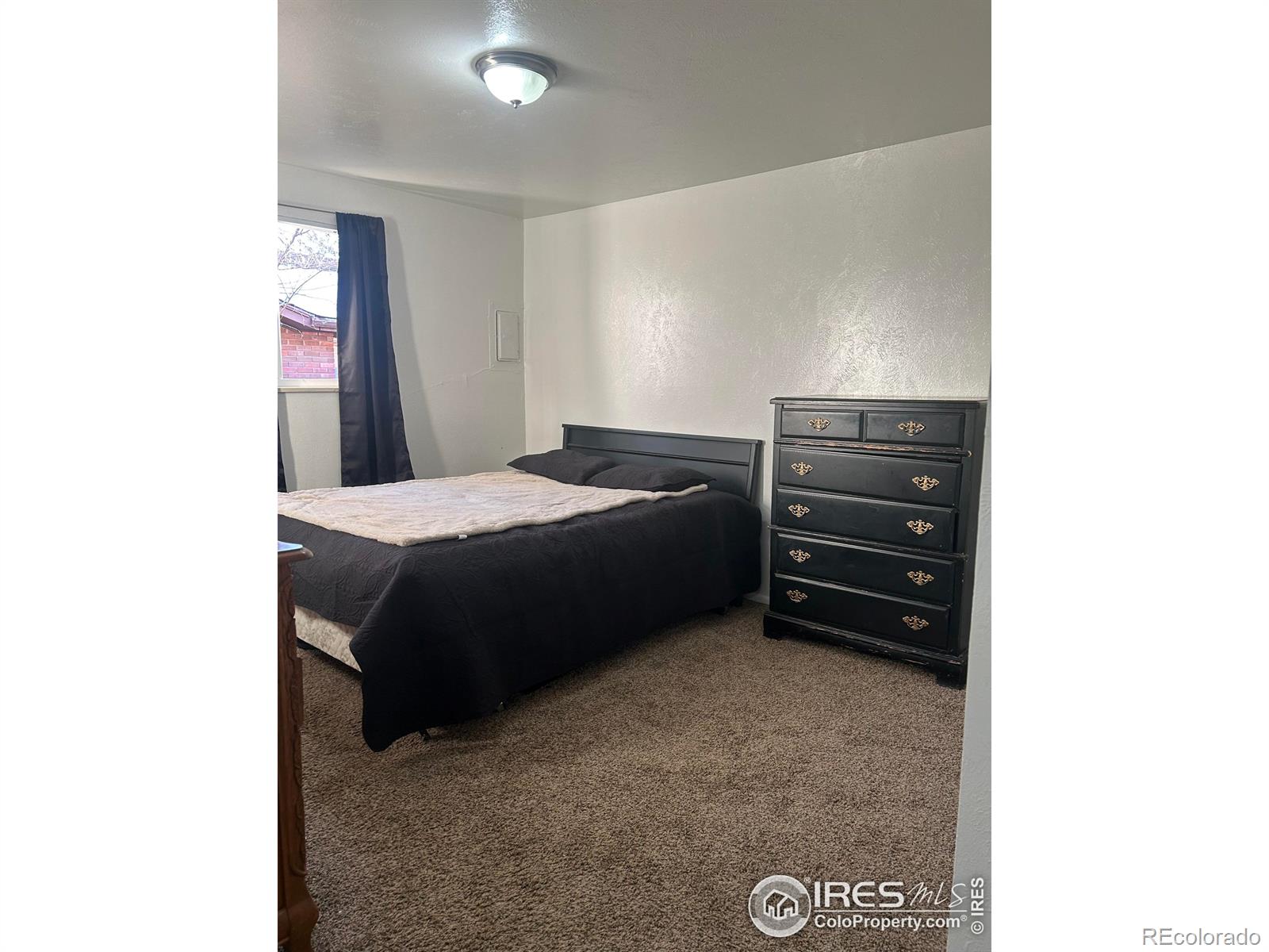 24 Cedar Court Longmont CO 80503