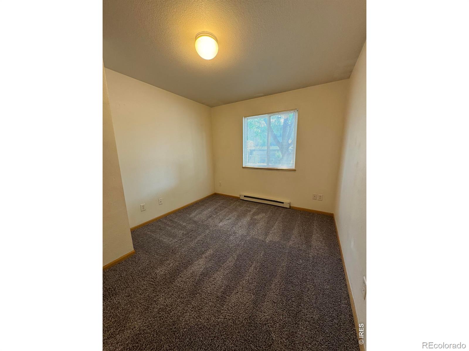215 W Myrtle Street Fort Collins CO 80521