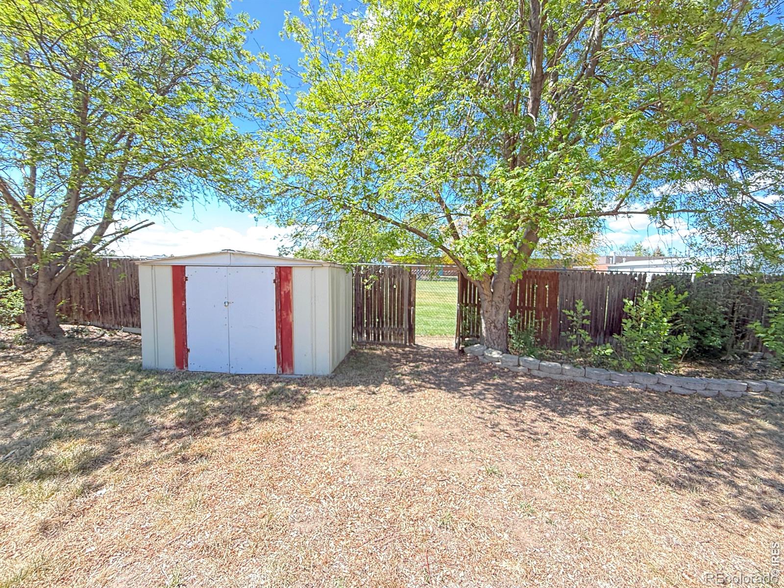 914-916 Red Fir Place Loveland CO 80538