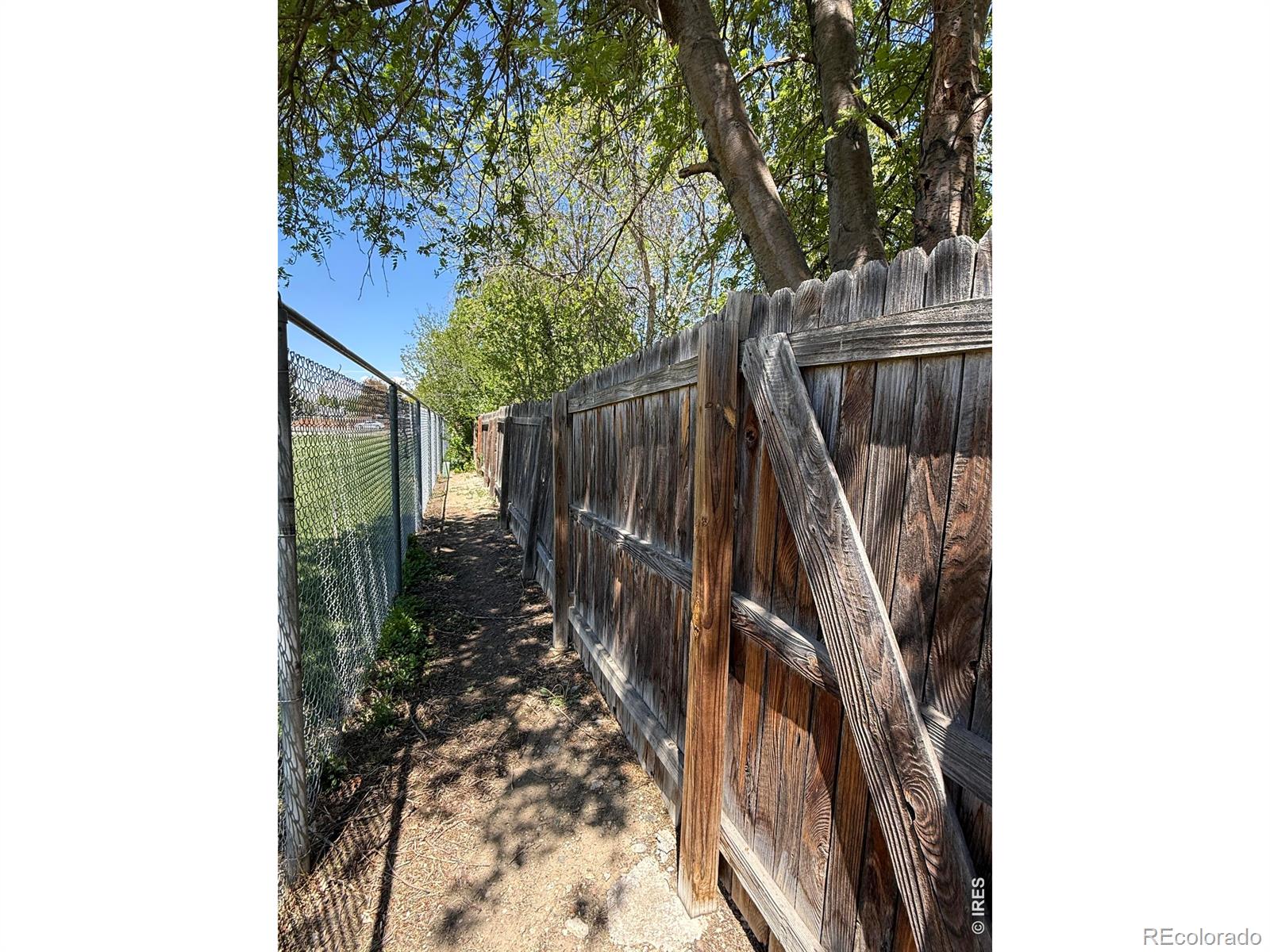 914-916 Red Fir Place Loveland CO 80538