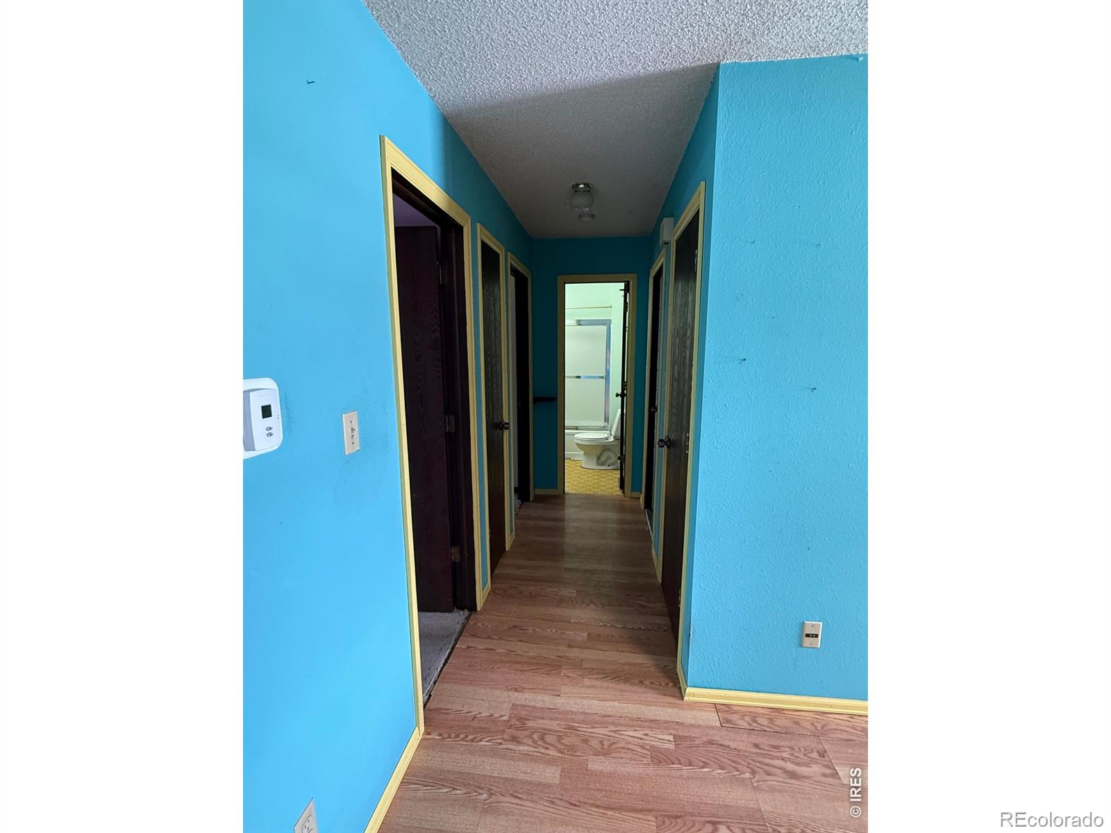 914-916 Red Fir Place Loveland CO 80538