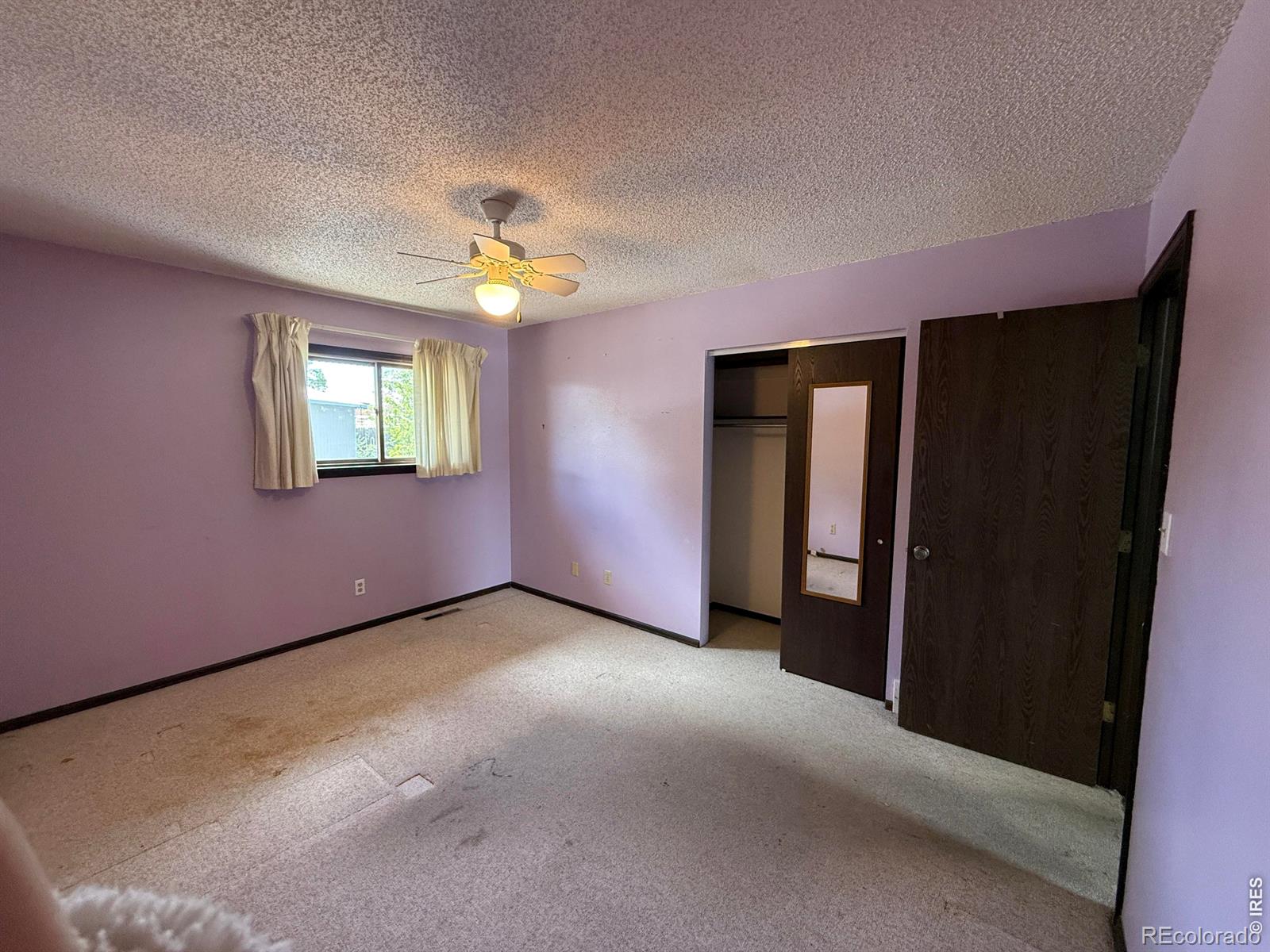 914-916 Red Fir Place Loveland CO 80538