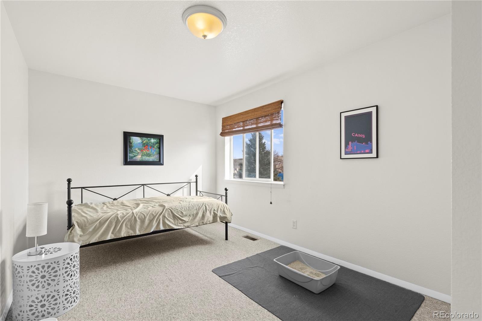 4210 N Weber Street Colorado Springs CO 80907