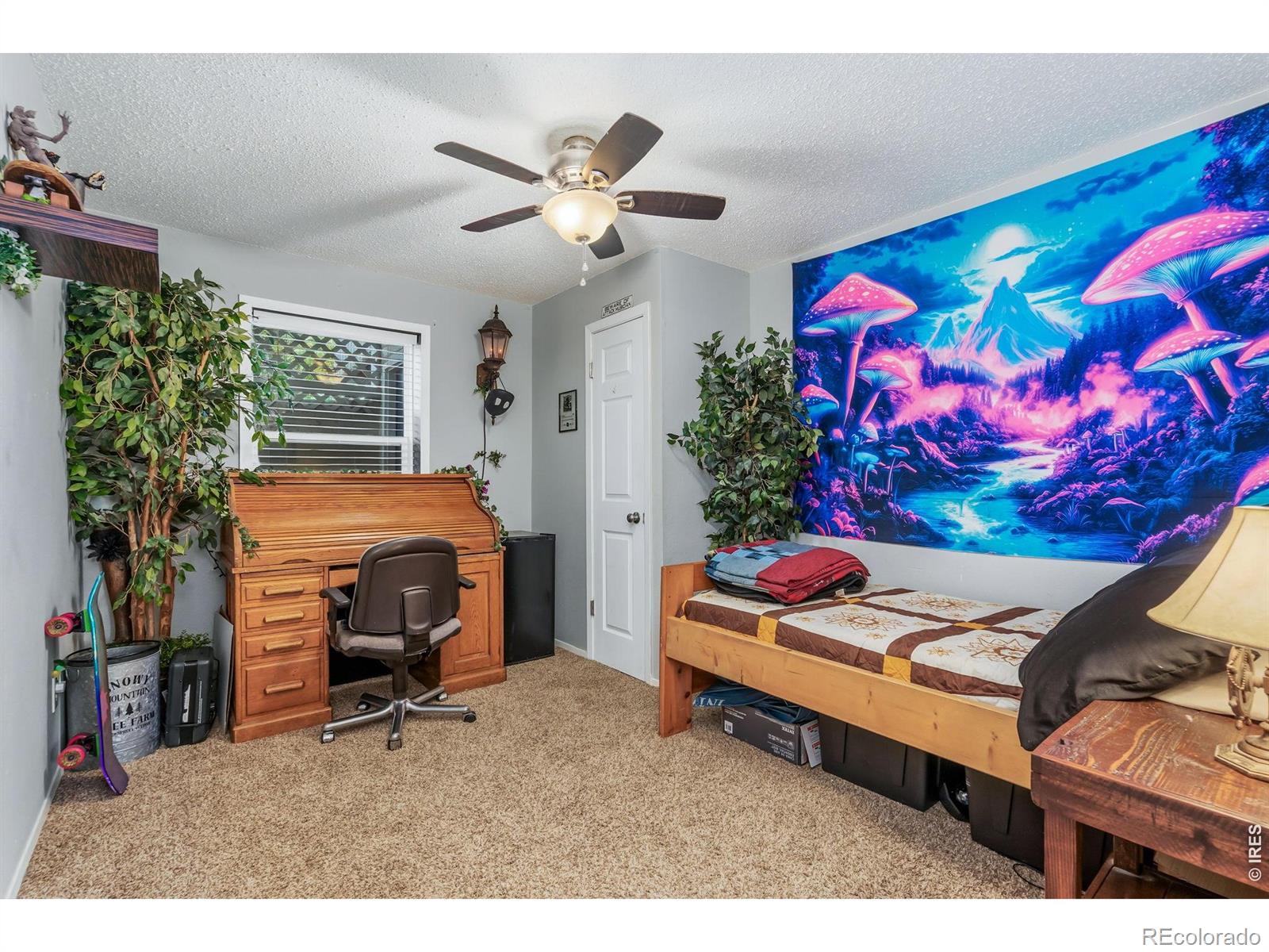 1150-1152 E 5th Street Loveland CO 80537