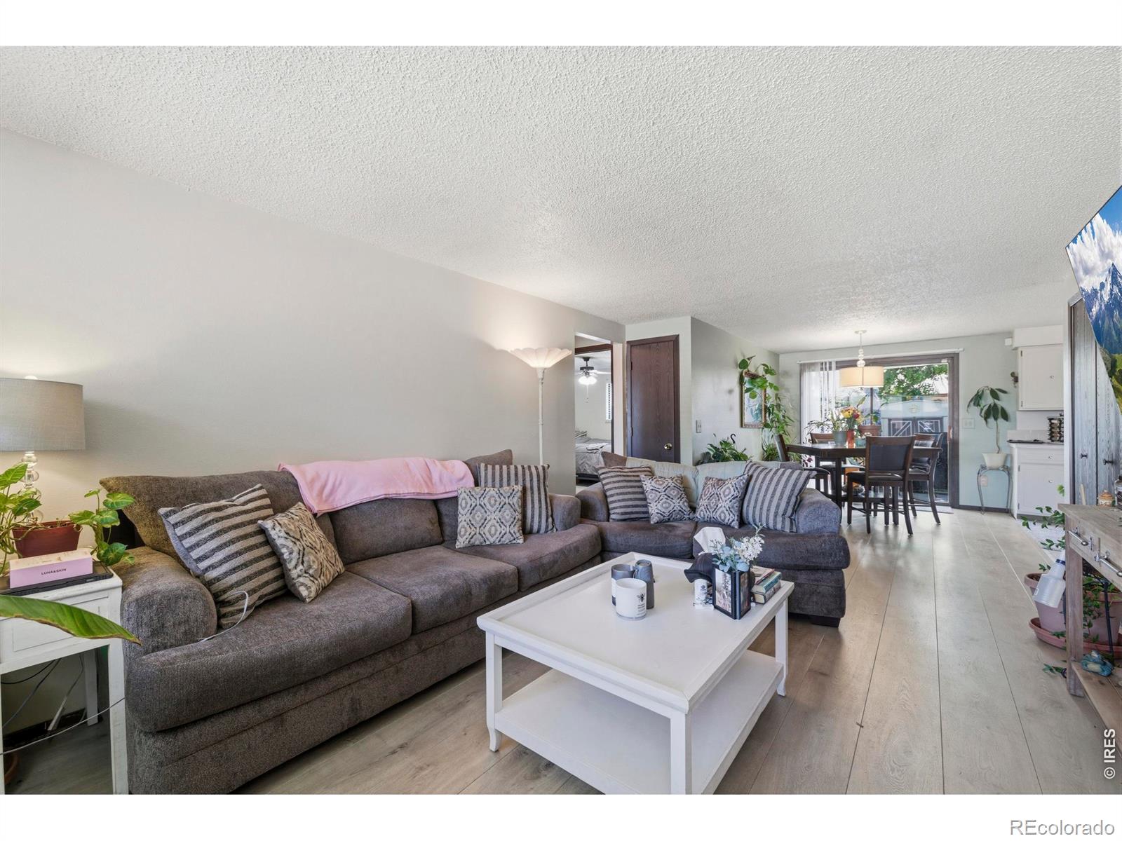 926-928 Red Fir Place Loveland CO 80538
