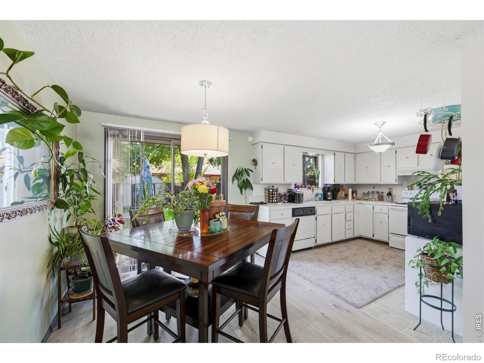 926-928 Red Fir Place Loveland CO 80538