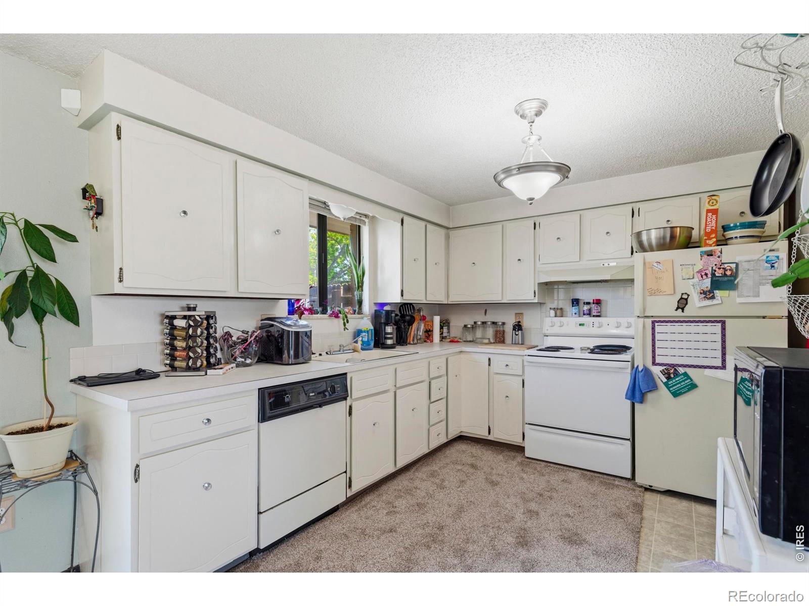 926-928 Red Fir Place Loveland CO 80538
