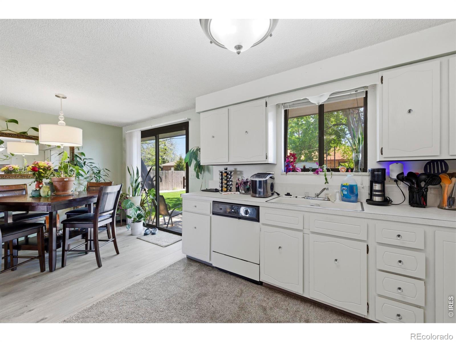 926-928 Red Fir Place Loveland CO 80538