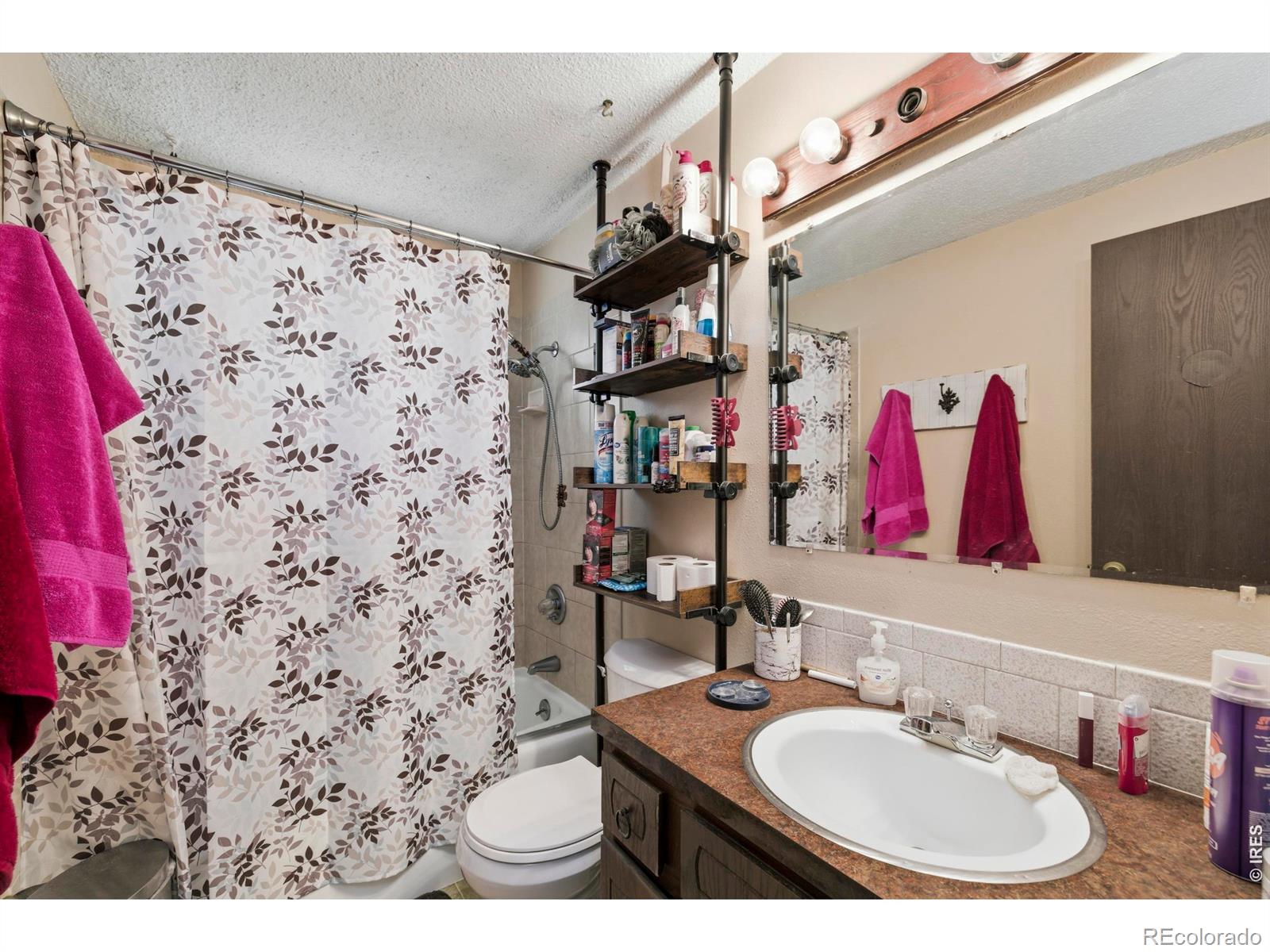926-928 Red Fir Place Loveland CO 80538