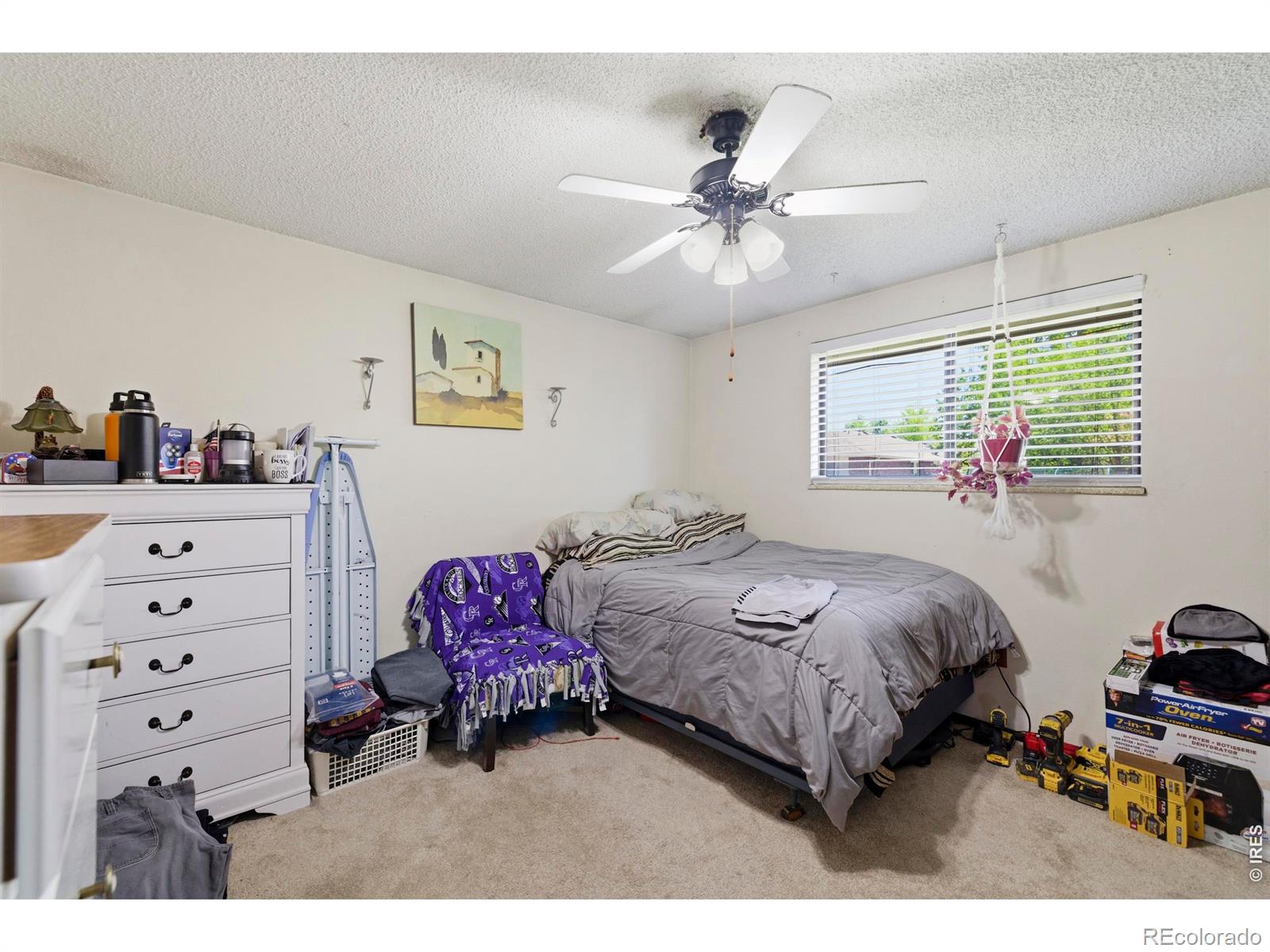 926-928 Red Fir Place Loveland CO 80538