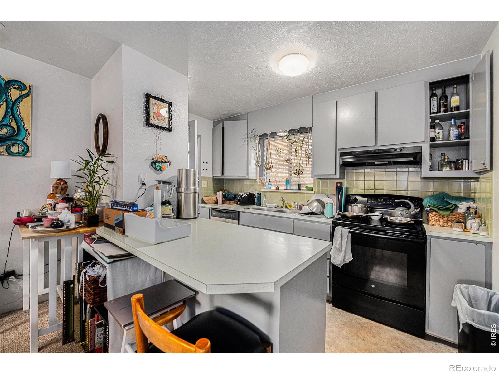 449 E Drake Road Fort Collins CO 80525