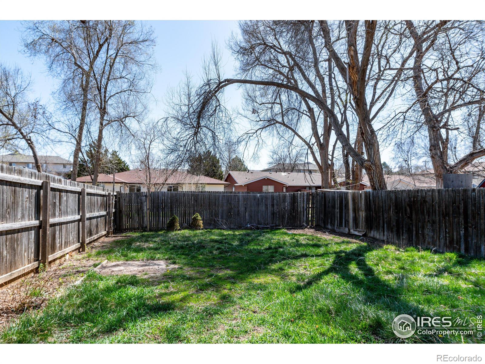 217-219 E Longs Peak Avenue Longmont CO 80504