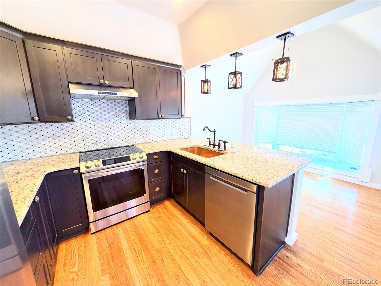 1107 N Downing Street Denver CO 80218