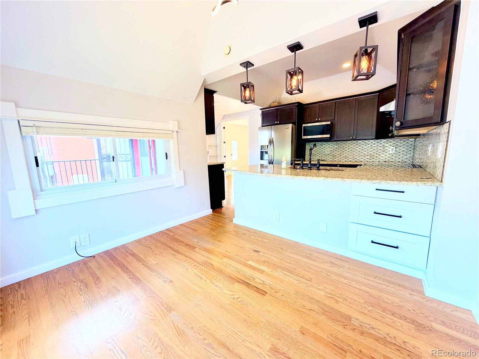 1107 N Downing Street Denver CO 80218