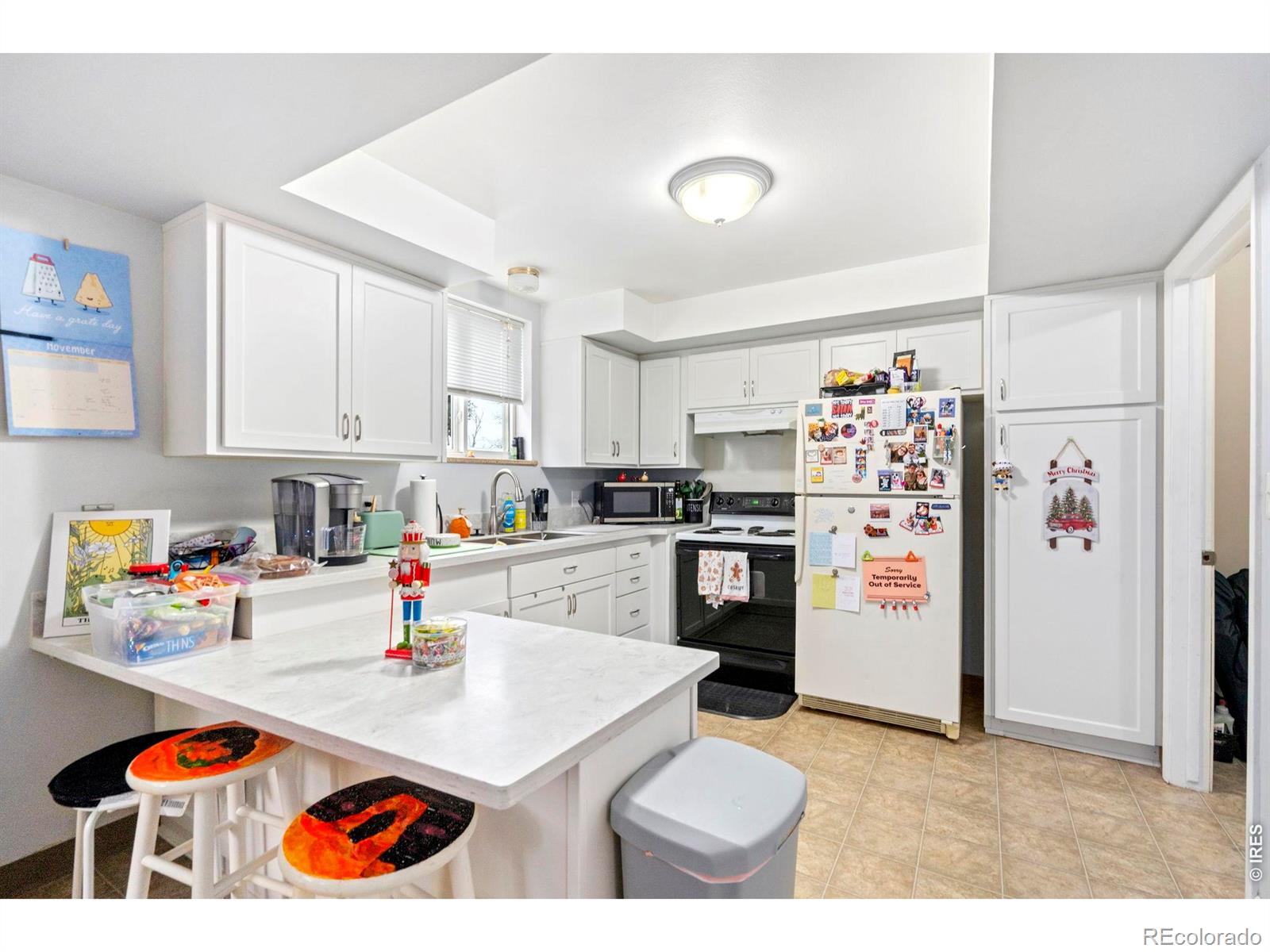 1009 Mchugh Street Fort Collins CO 80524