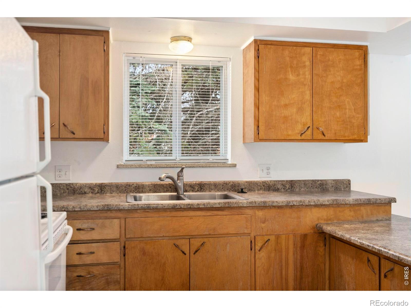 1009 Mchugh Street Fort Collins CO 80524