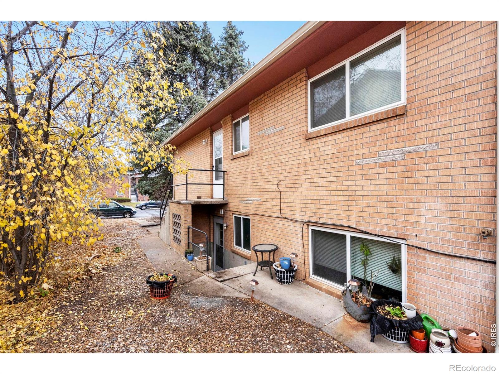 1009 Mchugh Street Fort Collins CO 80524