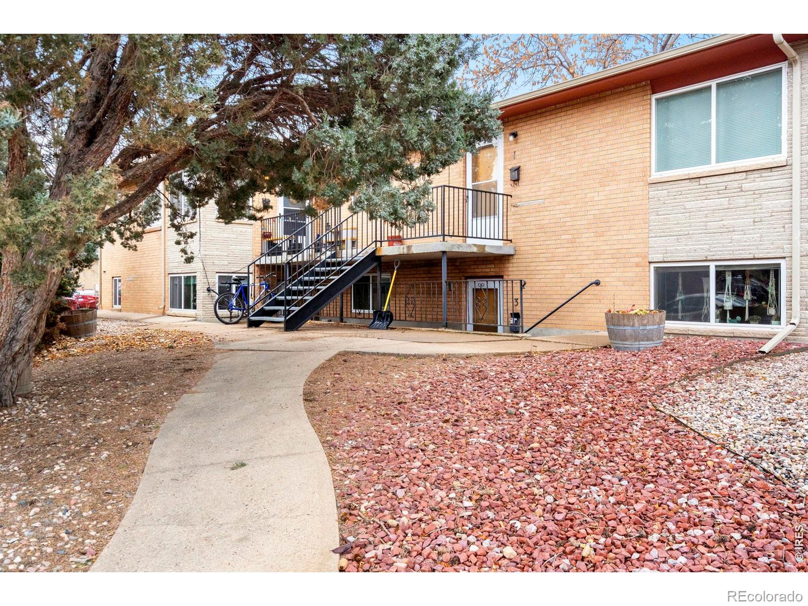 1009 Mchugh Street Fort Collins CO 80524