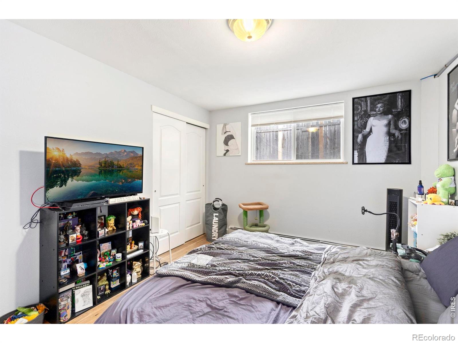 1009 Mchugh Street Fort Collins CO 80524