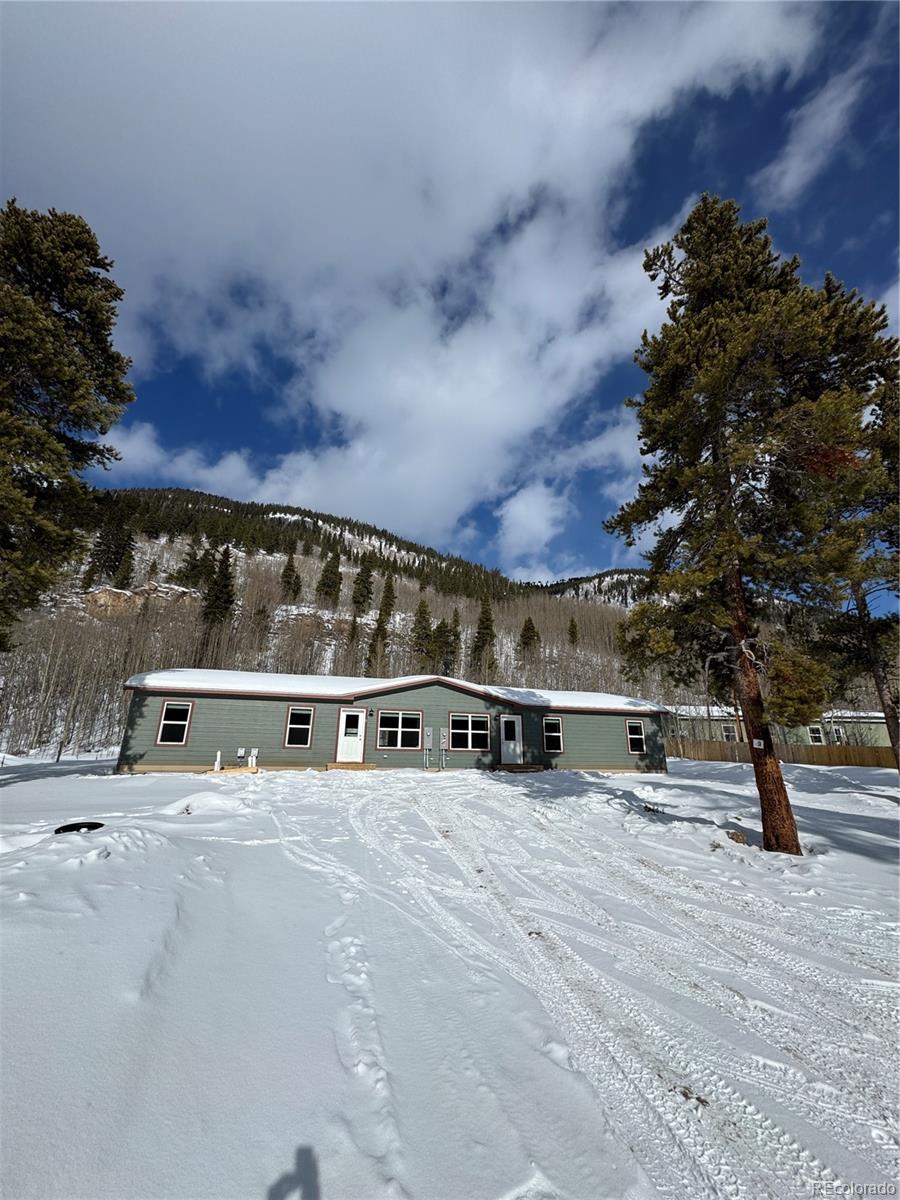 3299 Highway 91 Leadville CO 80461
