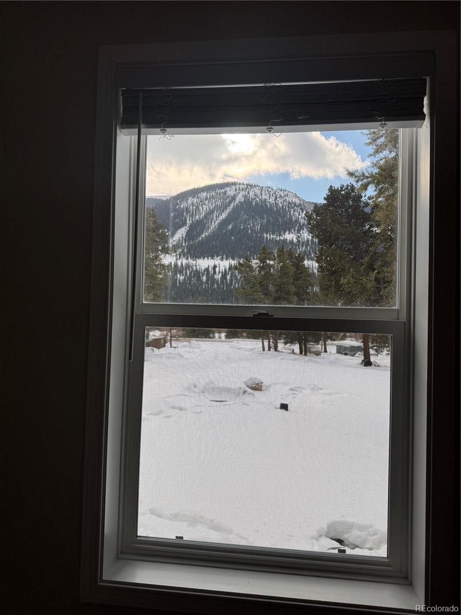 3299 Highway 91 Leadville CO 80461