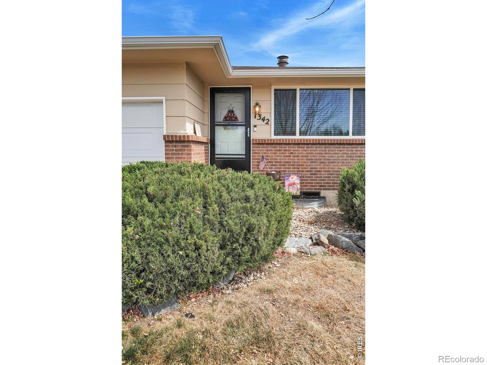 1342 Terry Street Longmont CO 80501