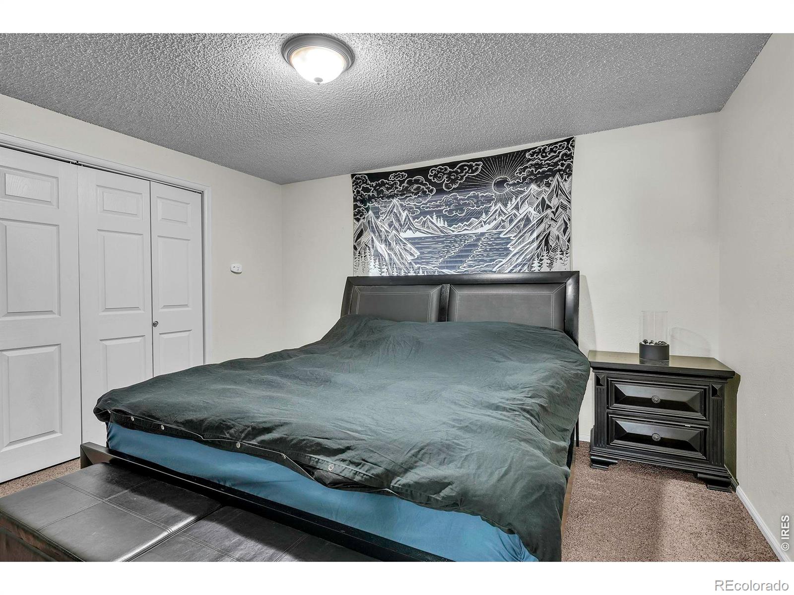 1342 Terry Street Longmont CO 80501