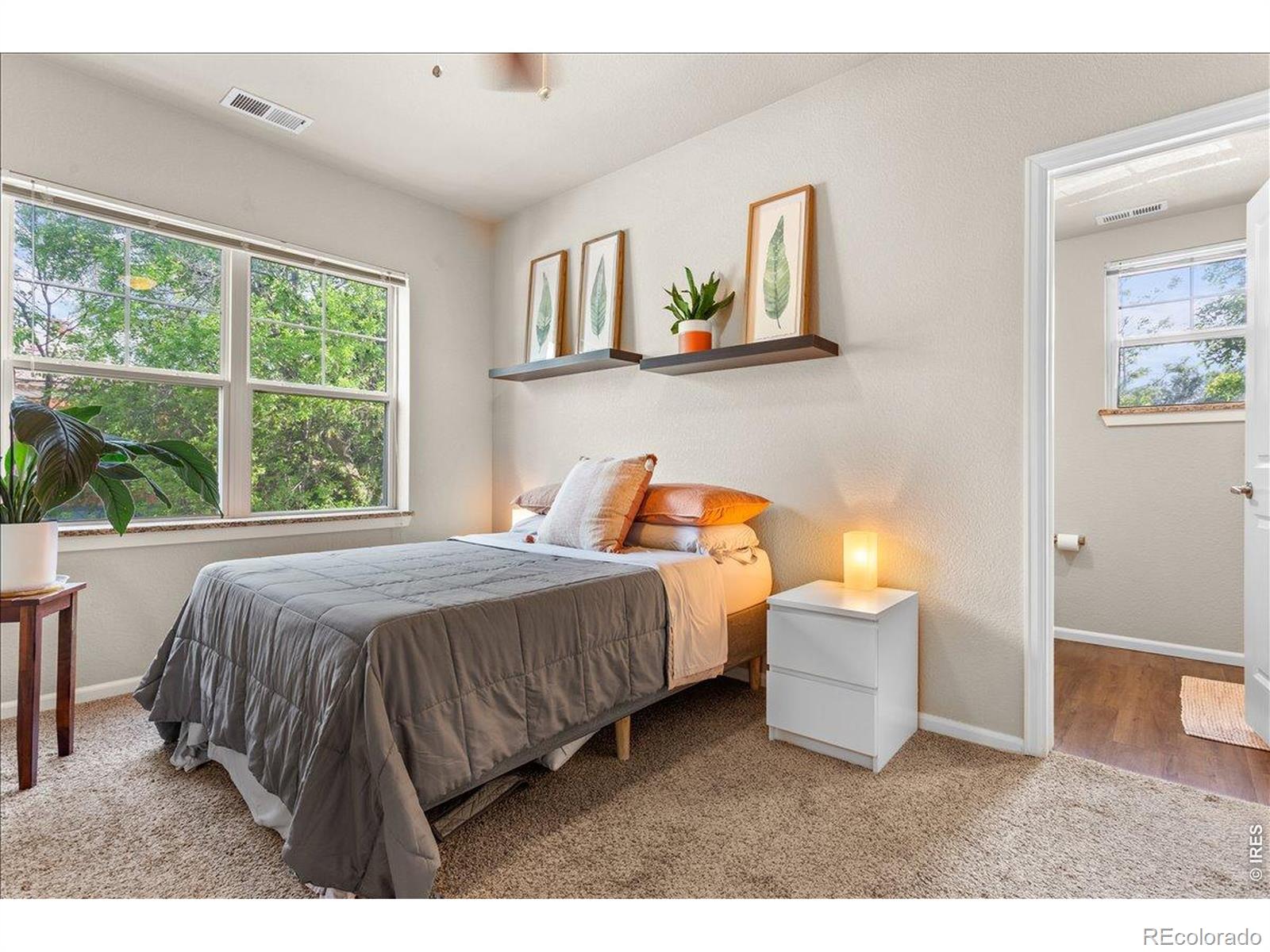 625 Peterson Street Fort Collins CO 80524