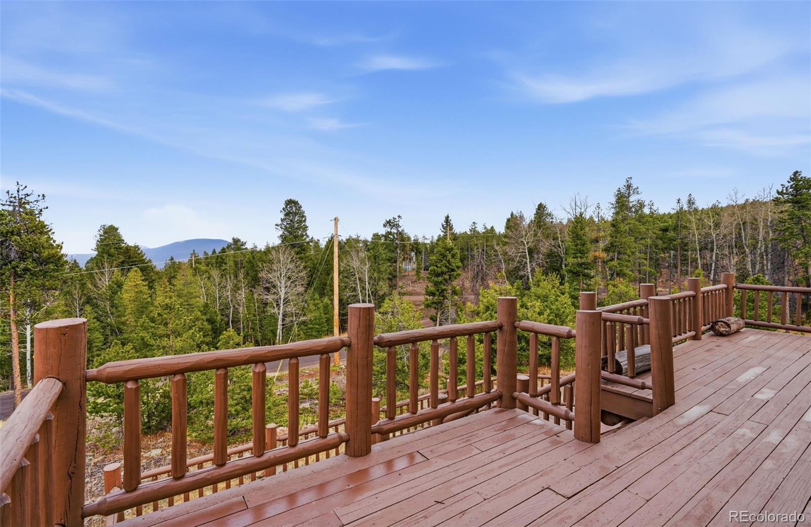 31551 Black Widow Drive Conifer CO 80433
