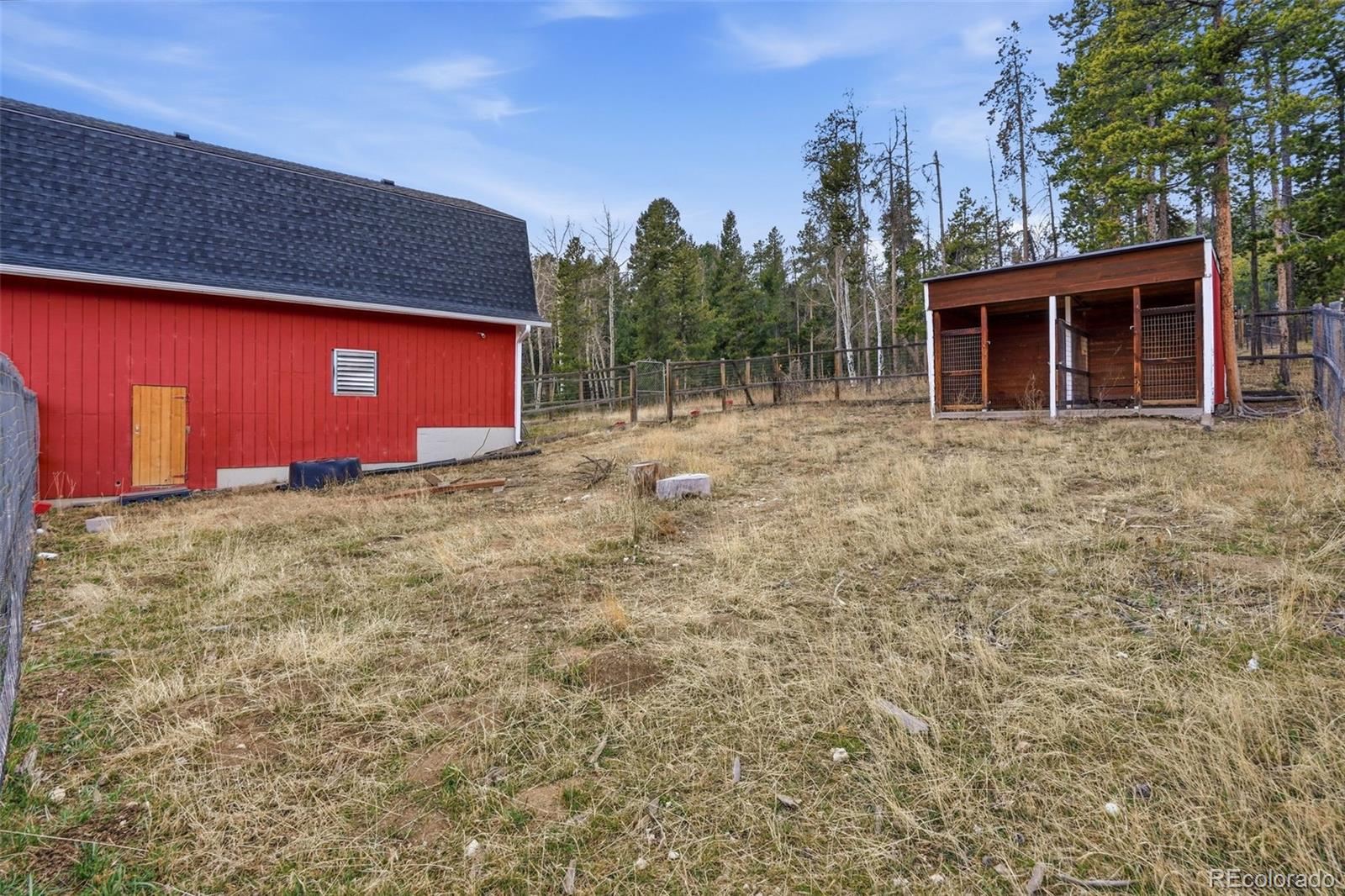 31551 Black Widow Drive Conifer CO 80433