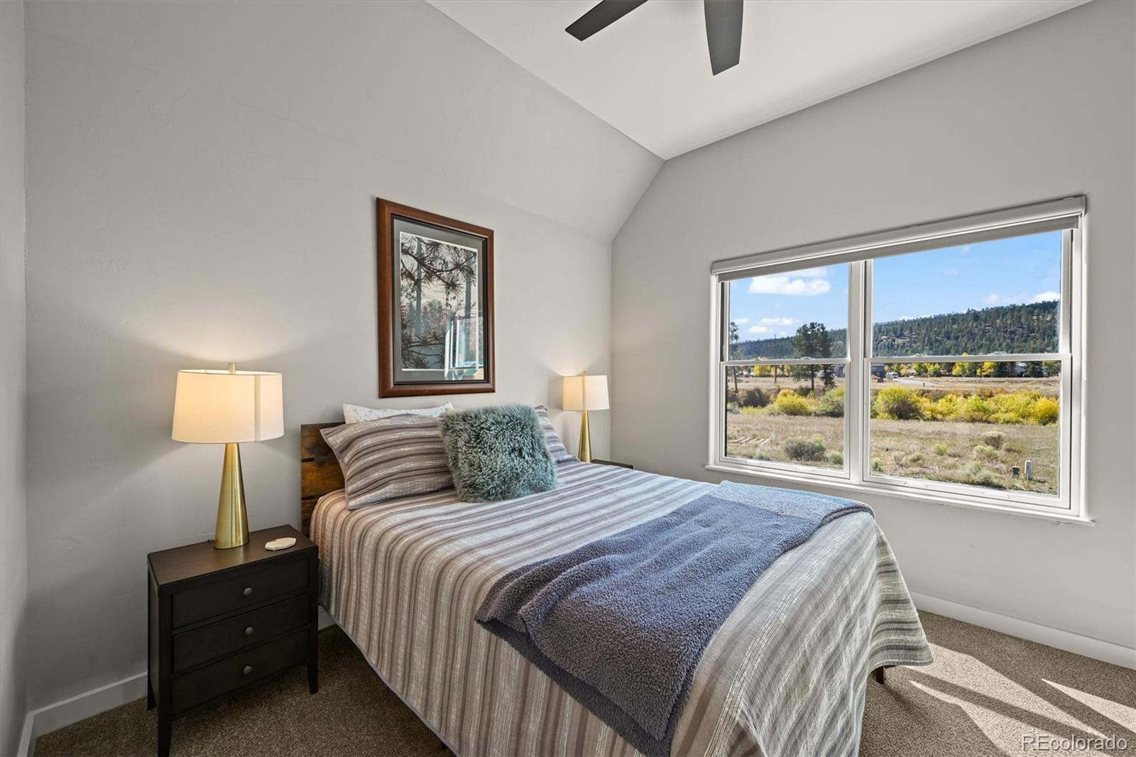 55 Vista Del Rio Drive South Fork CO 81154