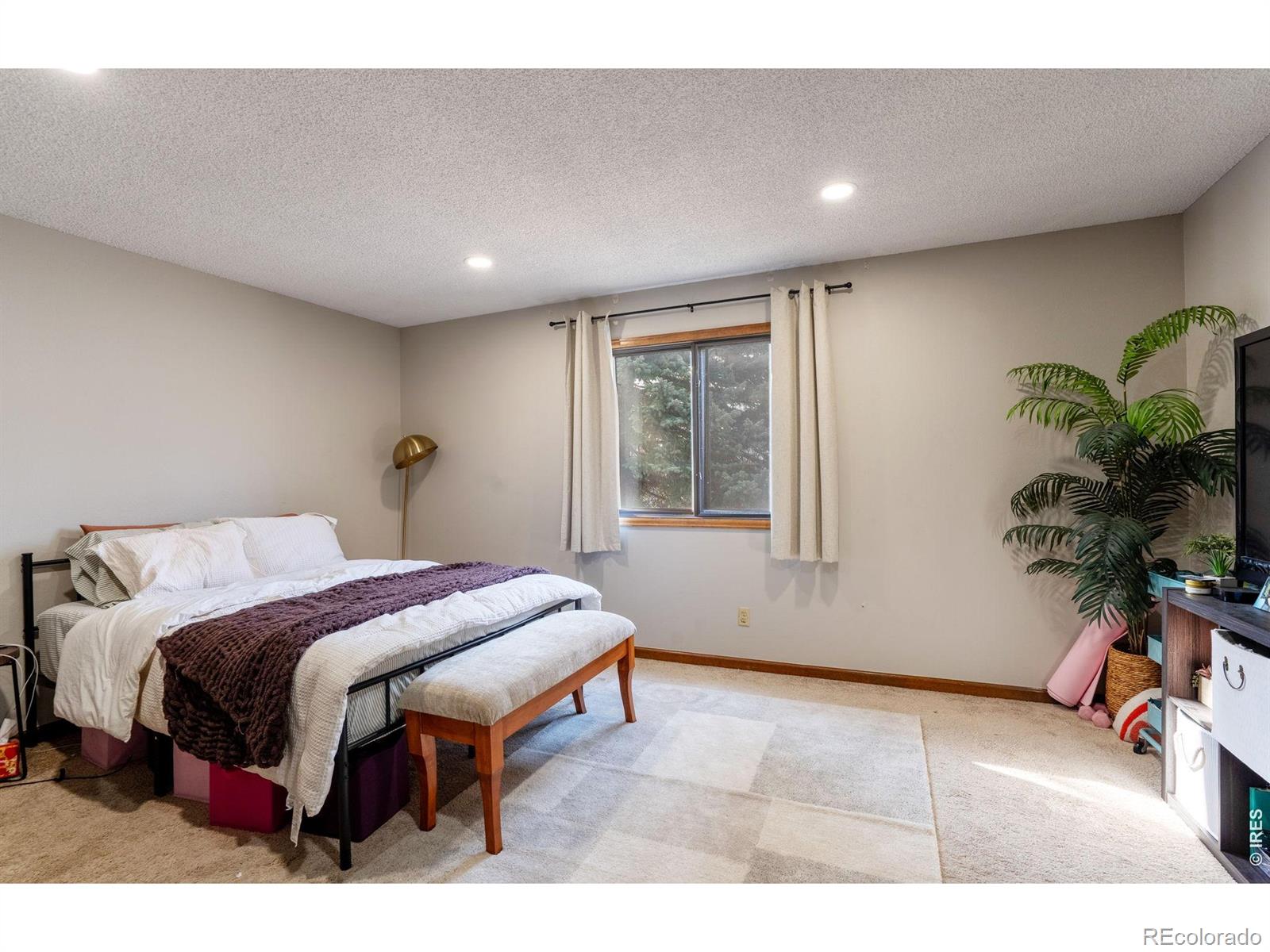 1116-1118 Kirkwood Drive Fort Collins CO 80525