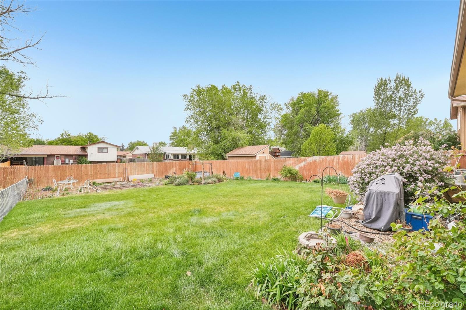 4664 Simms Street Wheat Ridge CO 80033