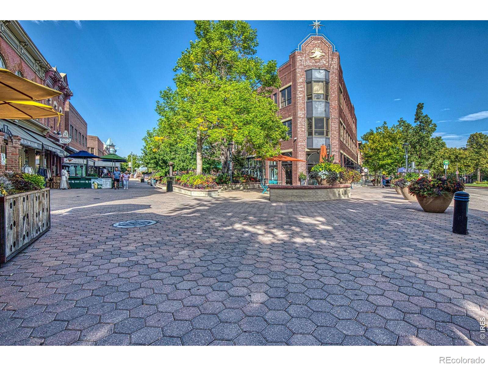 530 Mathews Street Fort Collins CO 80524