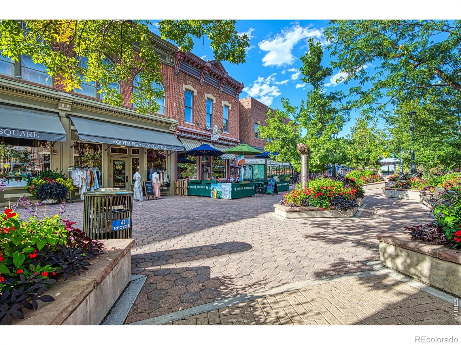 530 Mathews Street Fort Collins CO 80524