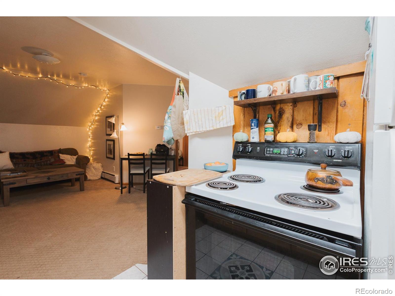 610 S Sherwood Street Fort Collins CO 80521