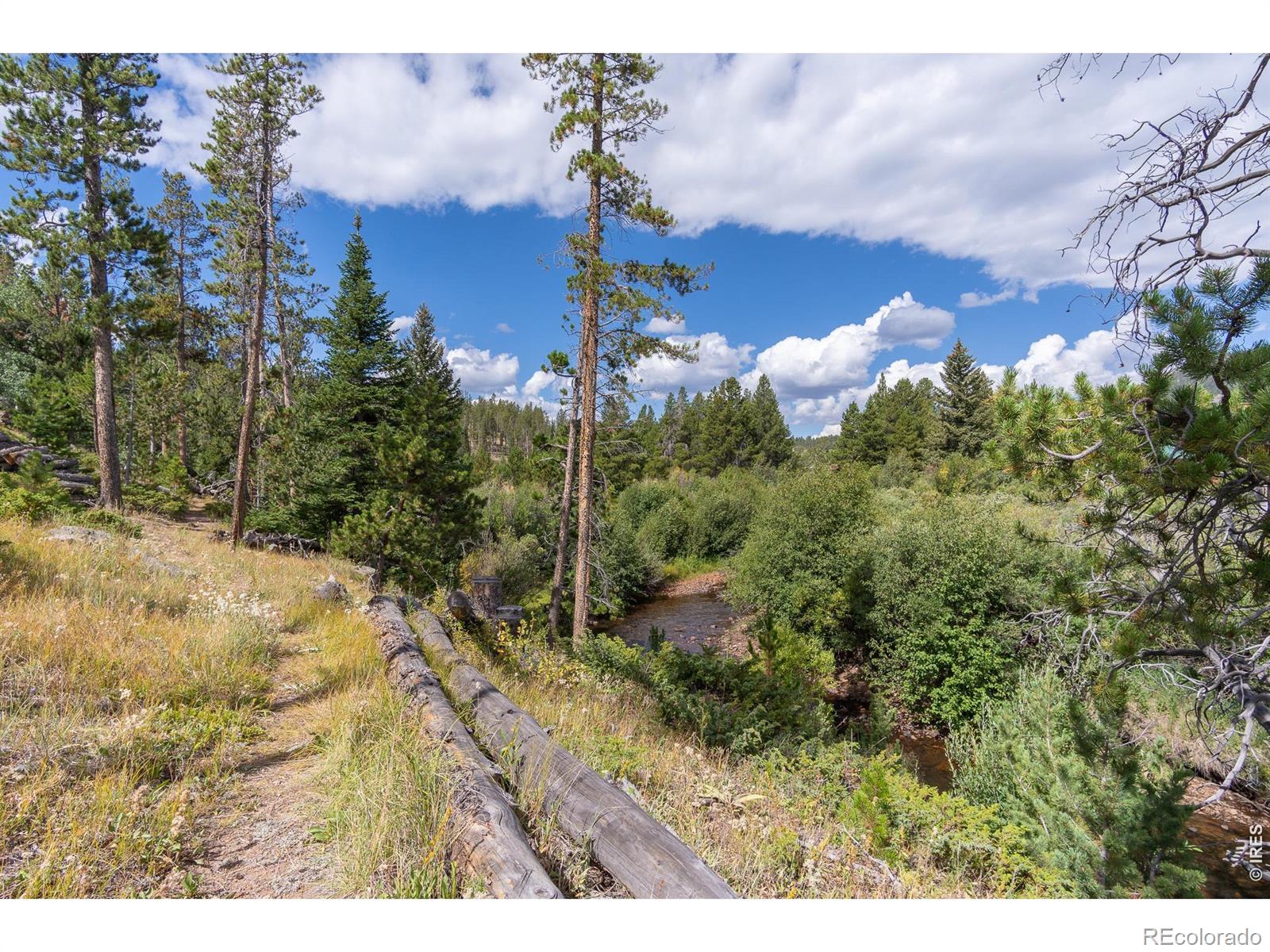 534 Blackfoot Road Red Feather Lakes CO 80545