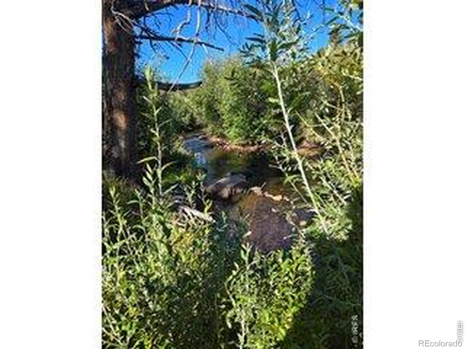 534 Blackfoot Road Red Feather Lakes CO 80545