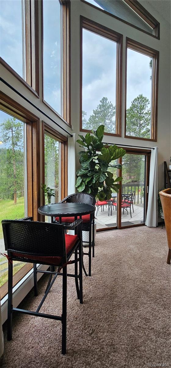 27901 Pine Drive Evergreen CO 80439