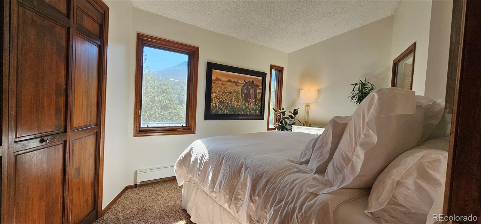 27901 Pine Drive Evergreen CO 80439