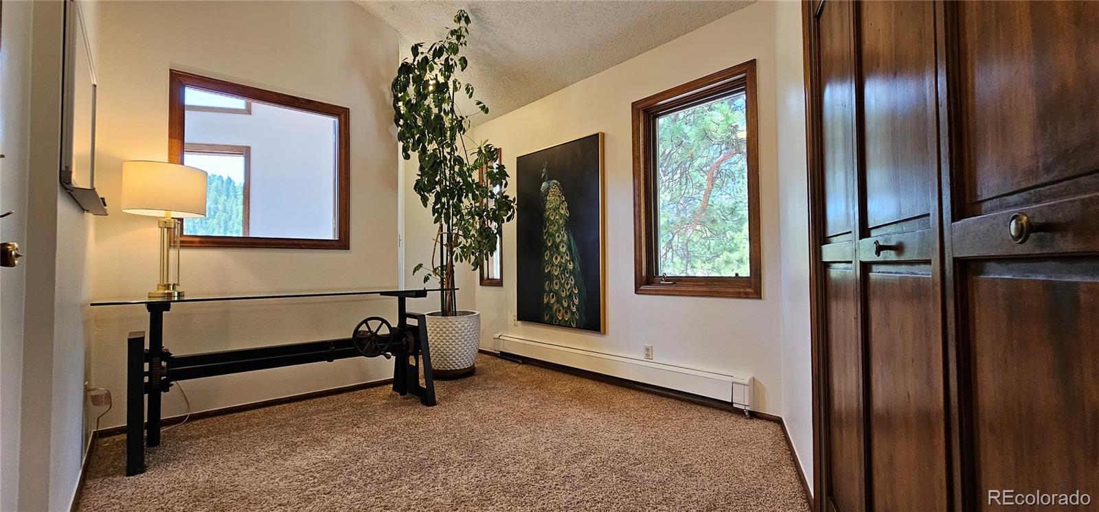27901 Pine Drive Evergreen CO 80439